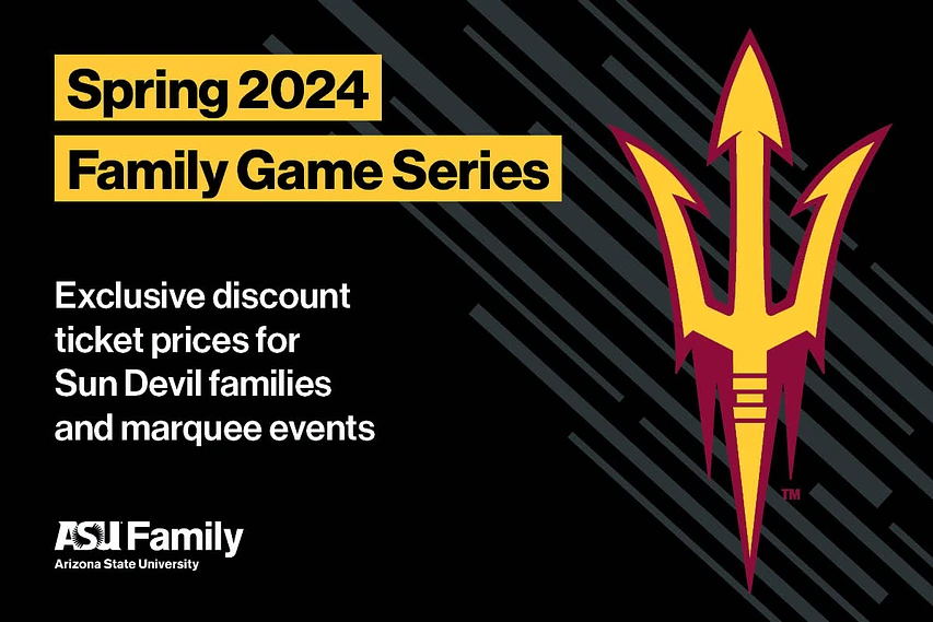 Cover image for S24 - Family Game Series