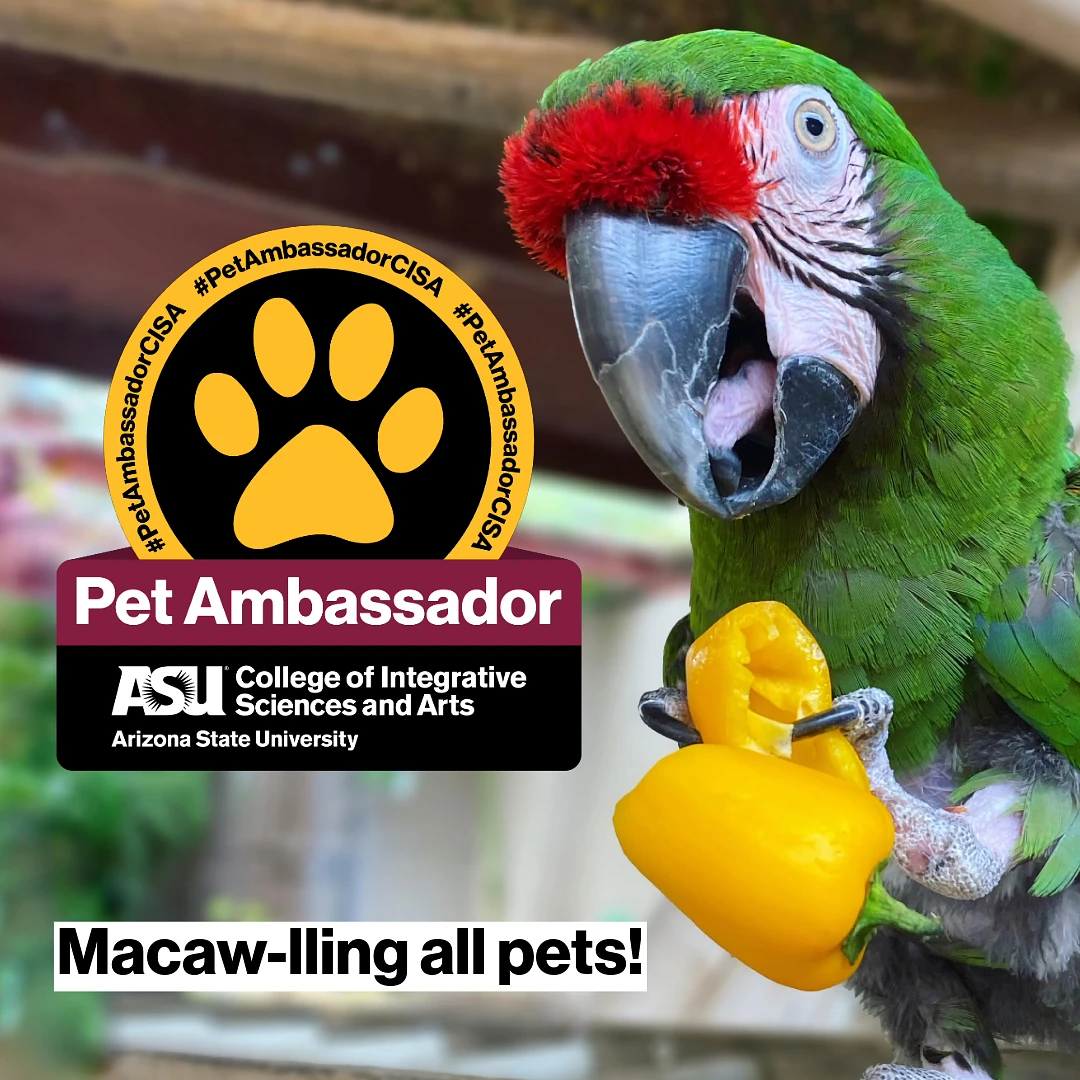 Macaw-lling all pets! CISA Pet Ambassador badge alongside pet ambassador Harley the green macaw