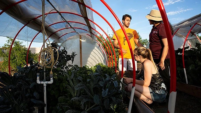 students looking at a green house