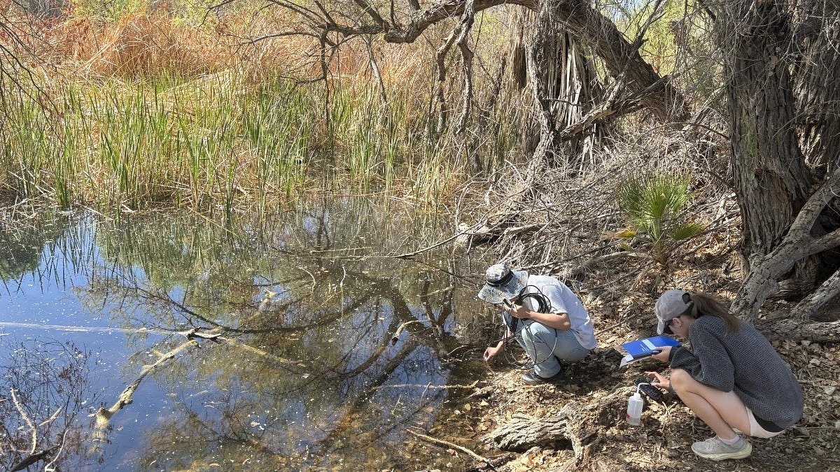 Two people are crouching by a pond, studying the surroundings with notepads and equipment.