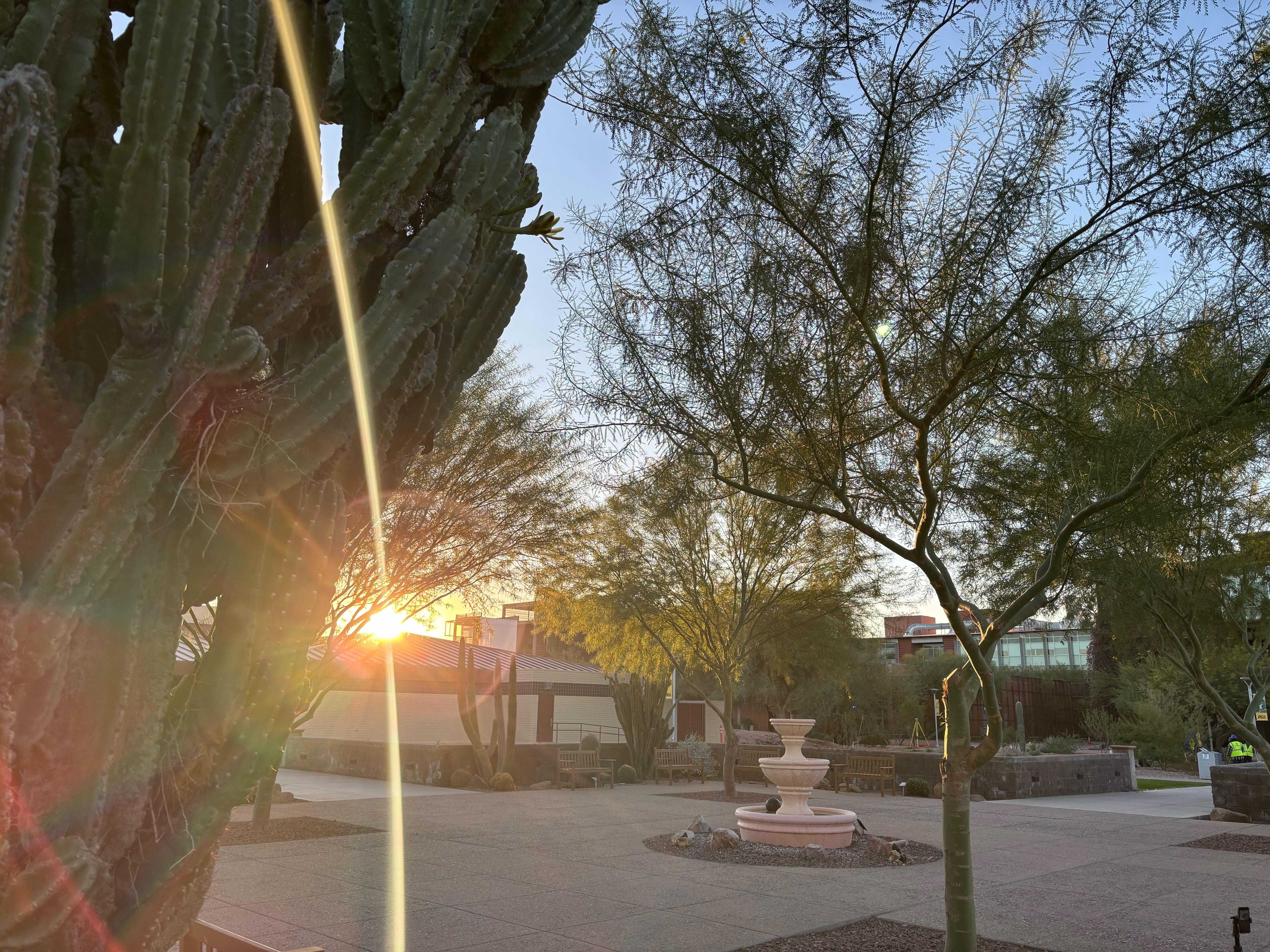Happy New Year from ASU Library | The ASU Family Hub